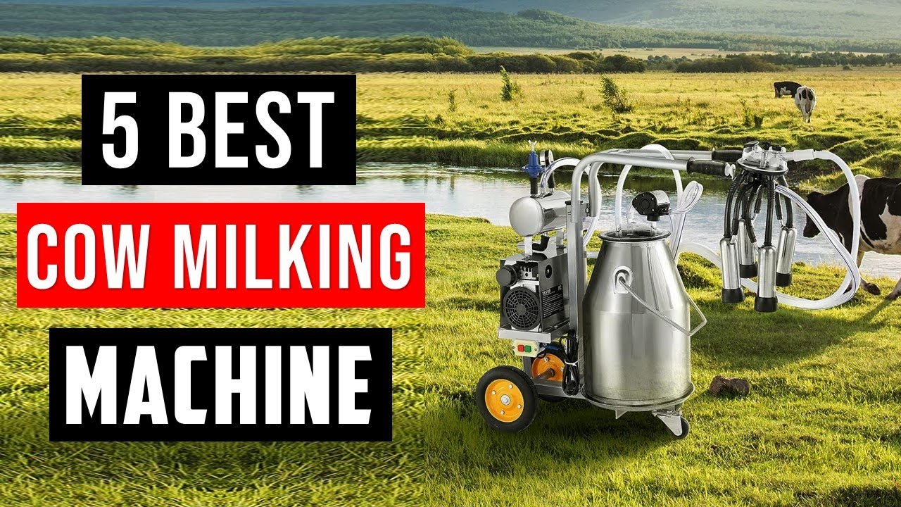 Top 5 Best Cow Milking Machine | Best Milking Machine - With Buying Guide