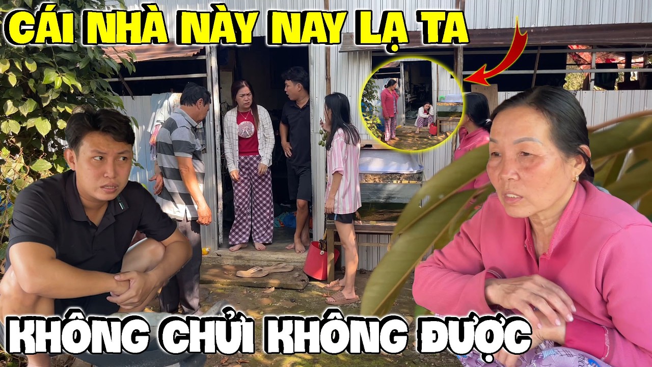 linh ế thất thần không biết chuyện đang xảy ra với cái nhà này...