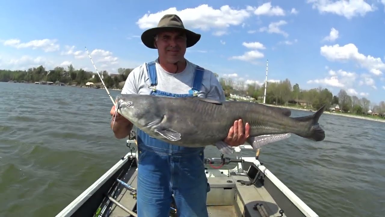 Anchored shallow for BIG spring Catfish