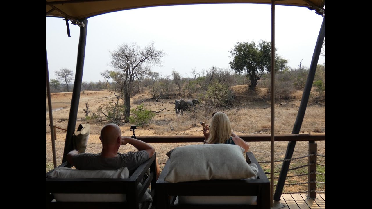 Safari 2024 - The Tent