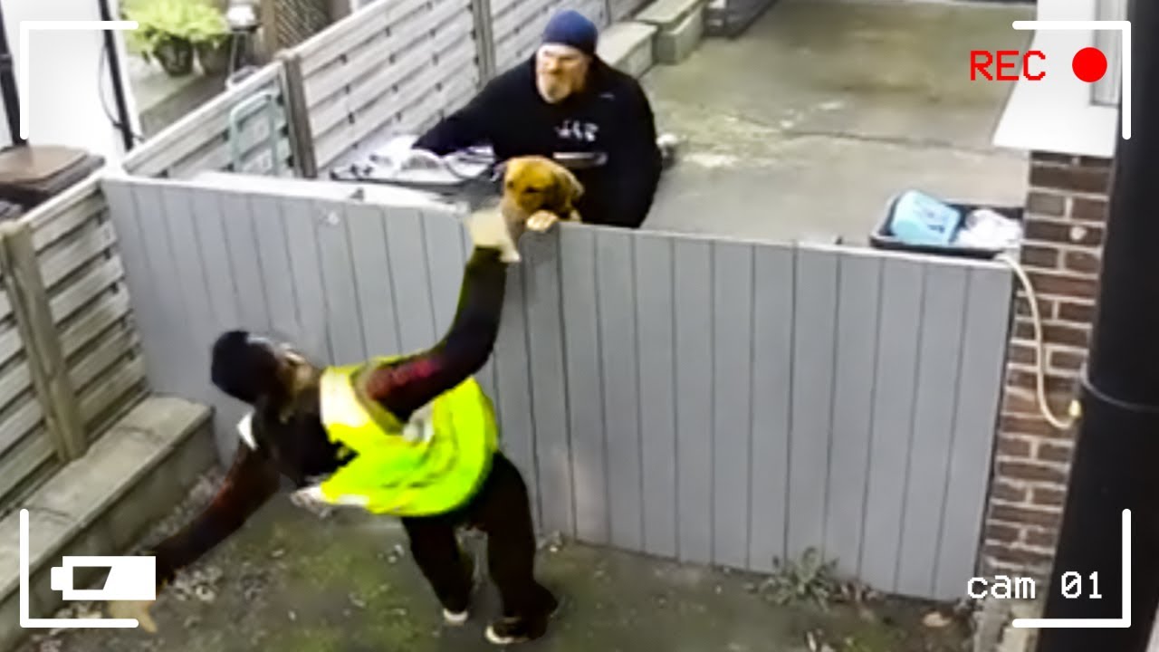 50 Moments Incroyables Filmés Par des Caméras de Surveillance