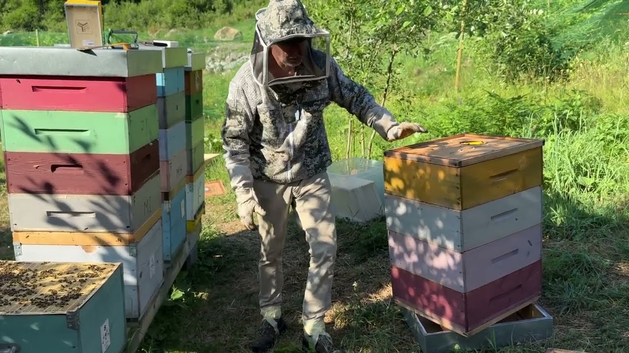 Blocco della covata con telaio orizzontale.