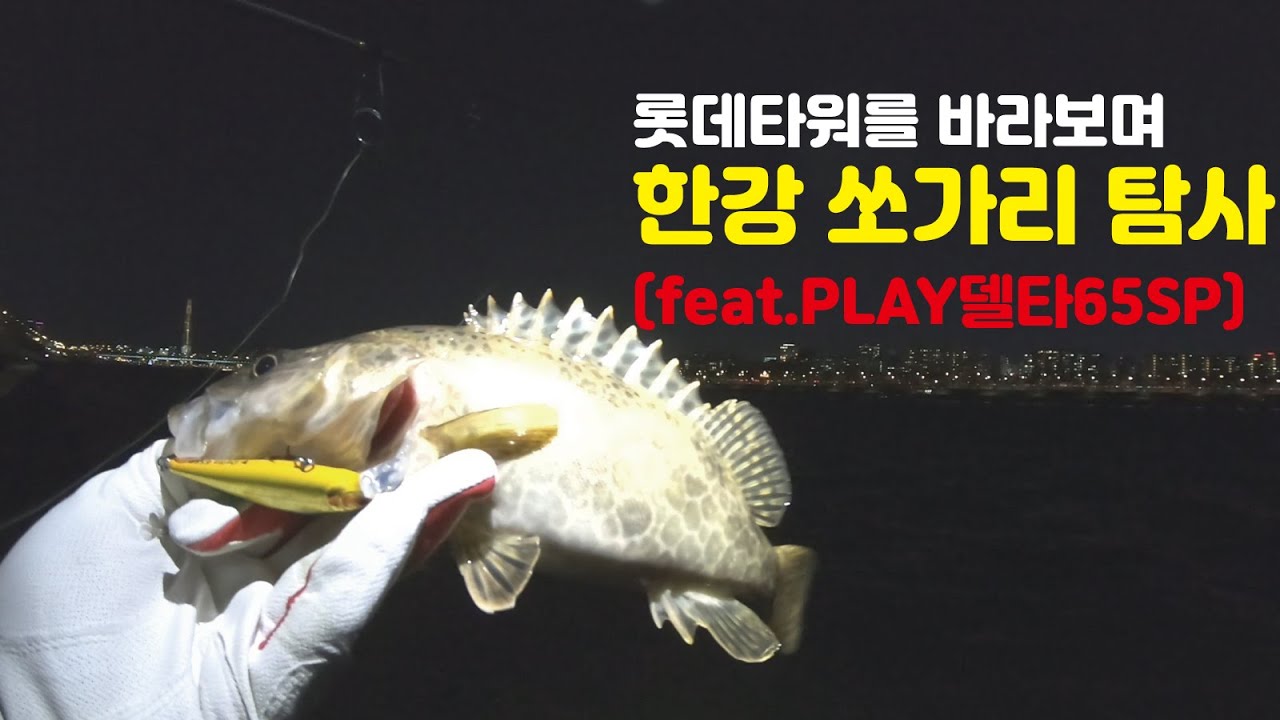 한강에서 만난 쏘가리 ( feat.PLAY 델타 65SP ) - 2021.04.08