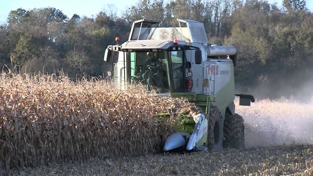 Moissonneuse Claas lexion 550 & bec à mais  6 rangs - agriculture - Placey - Doubs - Franche-Comté