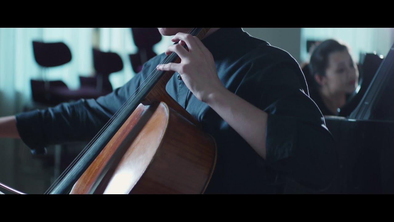 J. Brahms: Cello Sonata  No.2 op.  99.  Allegro vivace. Arne Zeller / Vita Kan