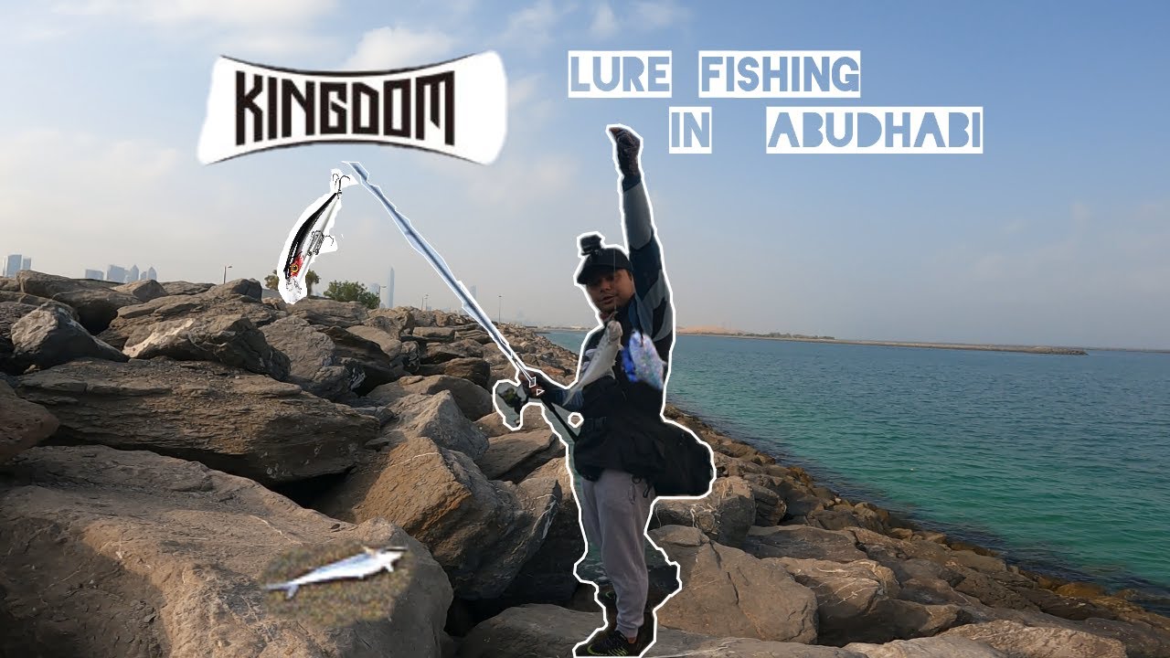 STRIKE QUEEN FISH | WITH  KINGDOM KINGART SINKING MINNOW LURE