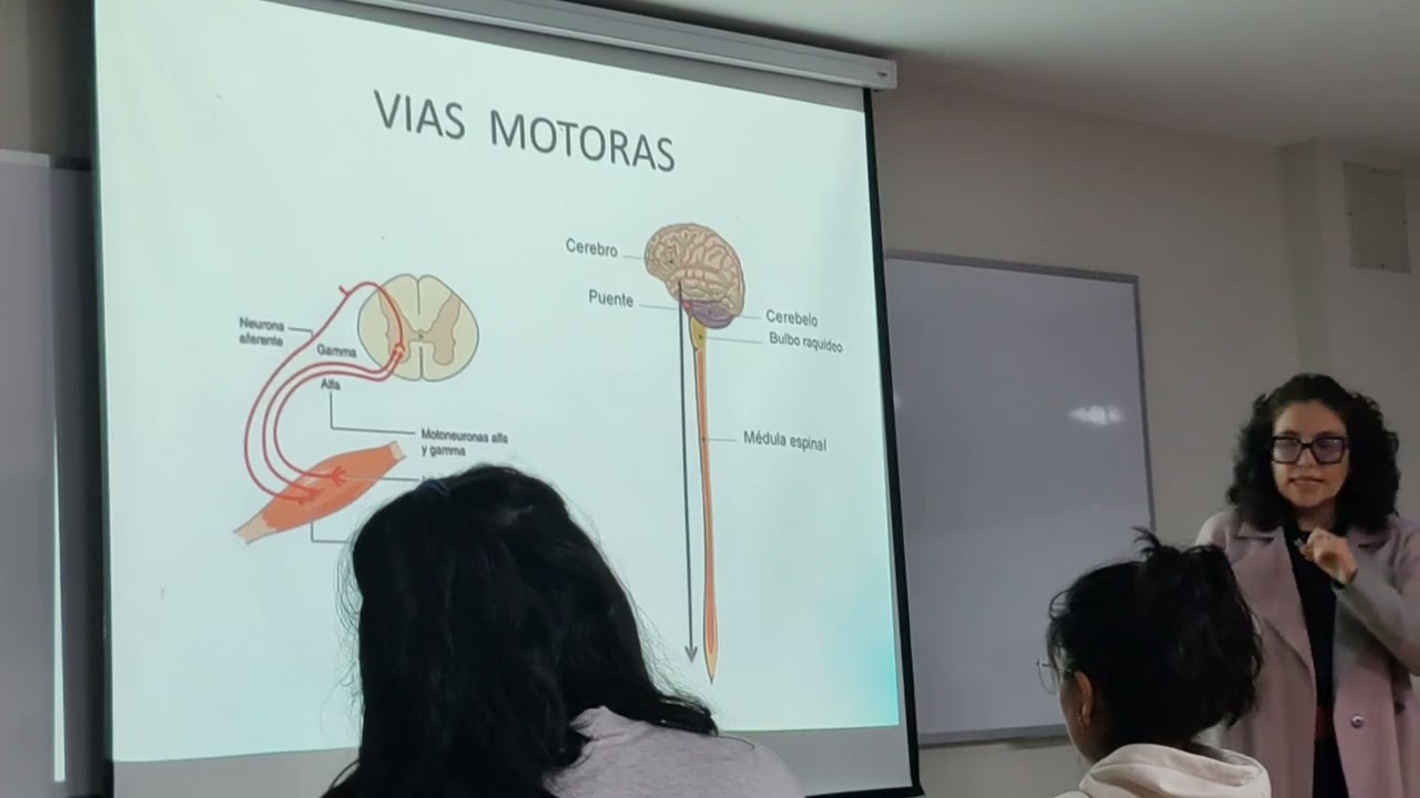 Clase de Neuroanatomía 01