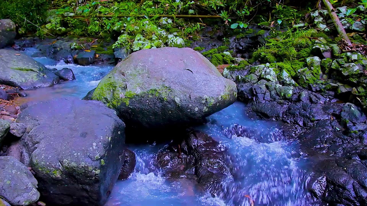 River Soundscape for Deep Sleep | Gentle Flowing Water for Stress Relief