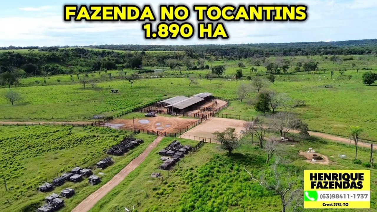 FAZENDA NO TOCANTINS 1.890 HECTARES PURA CULTURA (63)98411-1737