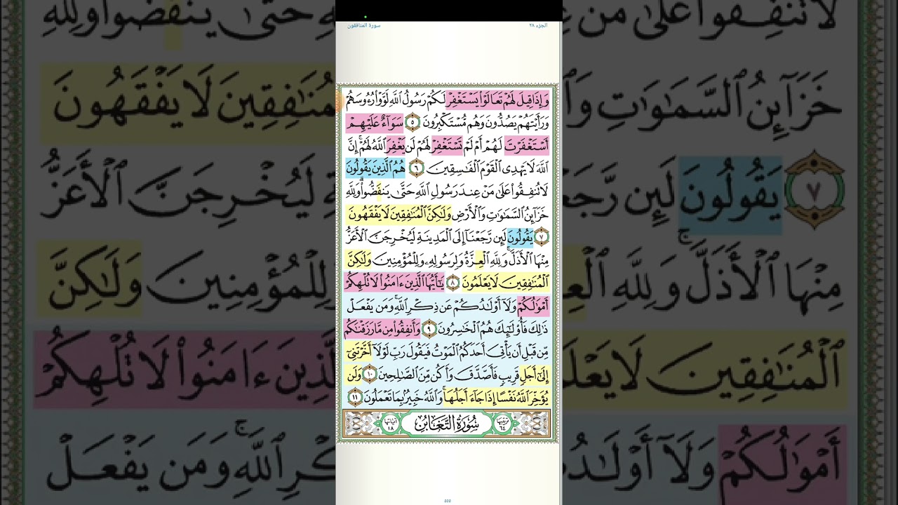 تثبيت وتربيط سورة المنافقون كاملة