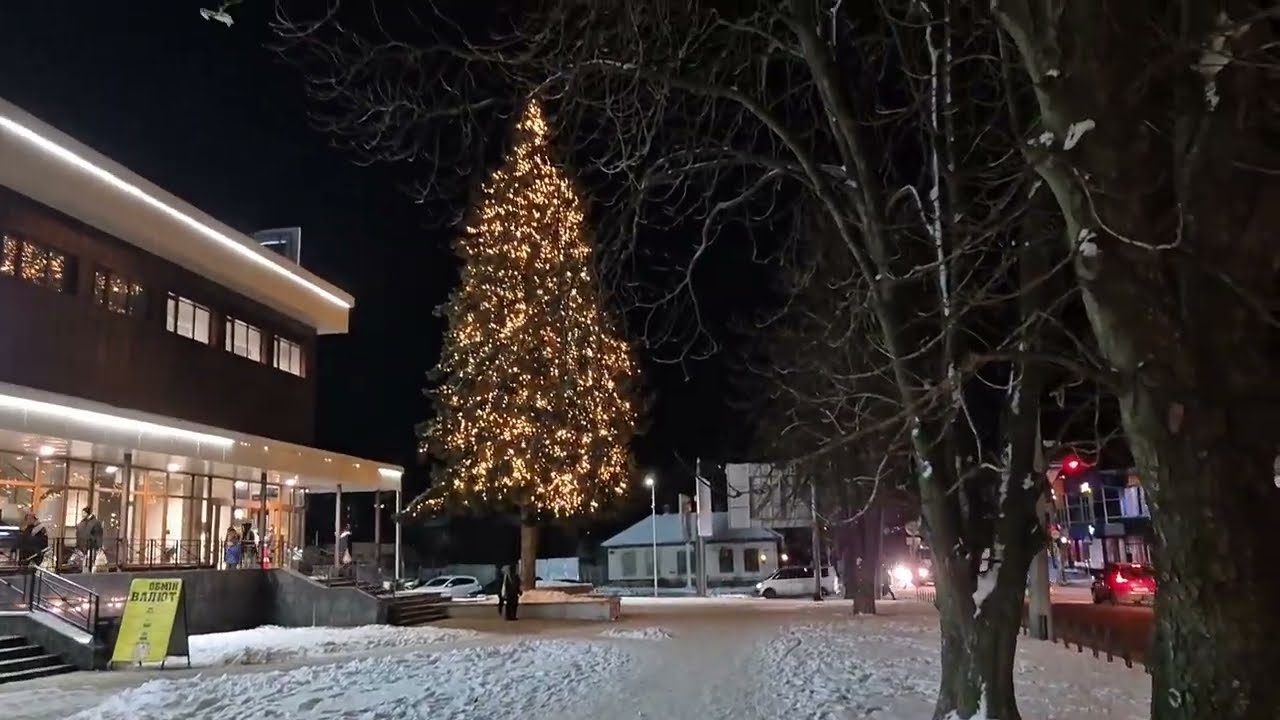 Покупки 🎁🎁ЗДОРОВЕННА ЯЛИНКА🌲😲 і ПЕРШИЙ СНІГ в УКРАЇНІ ❄️❄️Shopping 🎁🎁 and FIRST SNOW in UKRAINE ❄️❄️