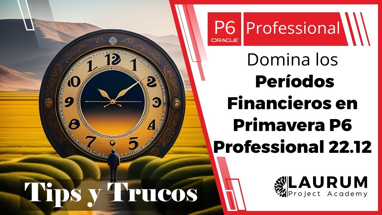 📈​ Domina los Períodos Financieros en Primavera P6 Professional