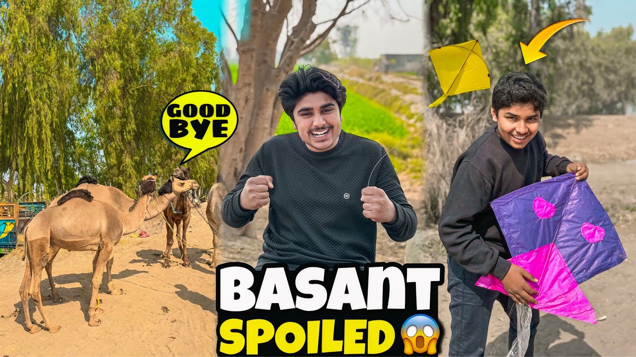 Basant Day 2 🪁 Kite Program Spoiled! 😱 Camel Lahore Chale Gaye 🐪…