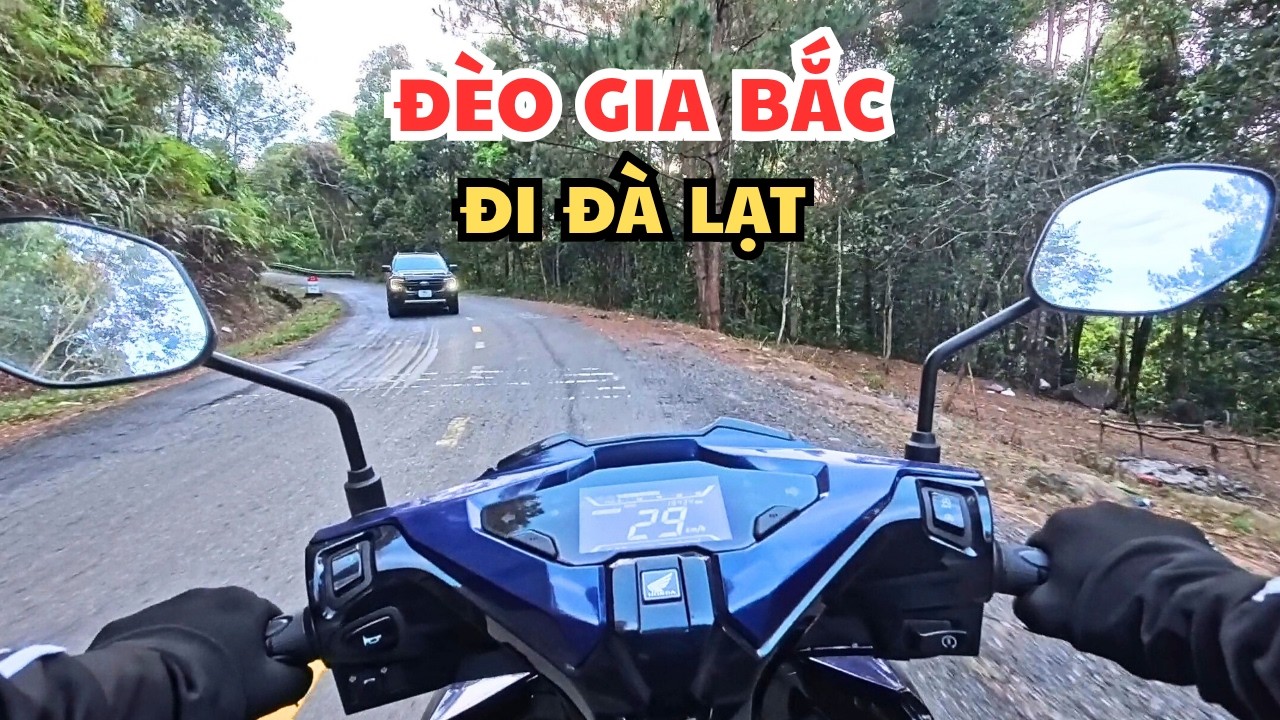 Xuyên Rừng Phượt Đèo Gia Bắc Quốc Lộ 28 - Cung Đường Đèo Hoang Sơ l Phan Thiết Chill