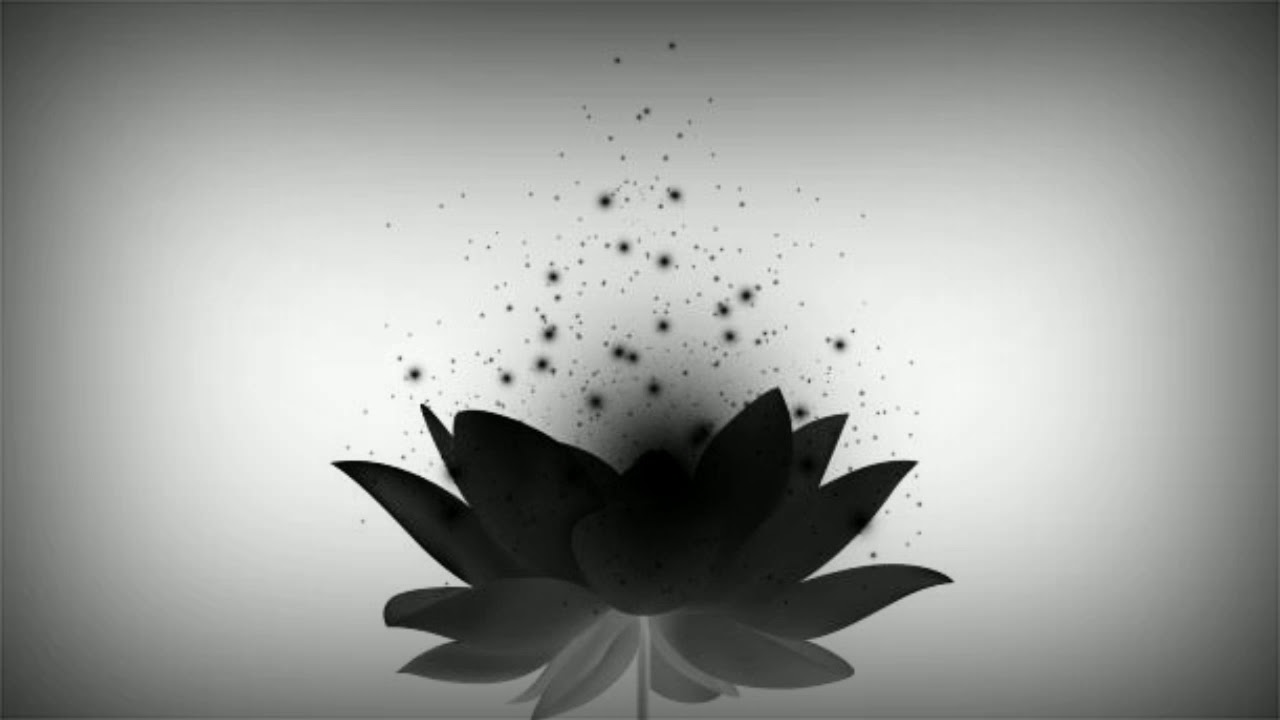 MUSICA QUE TE DORMIRAS EN 5 MINUTOS (recommended before sleeping)