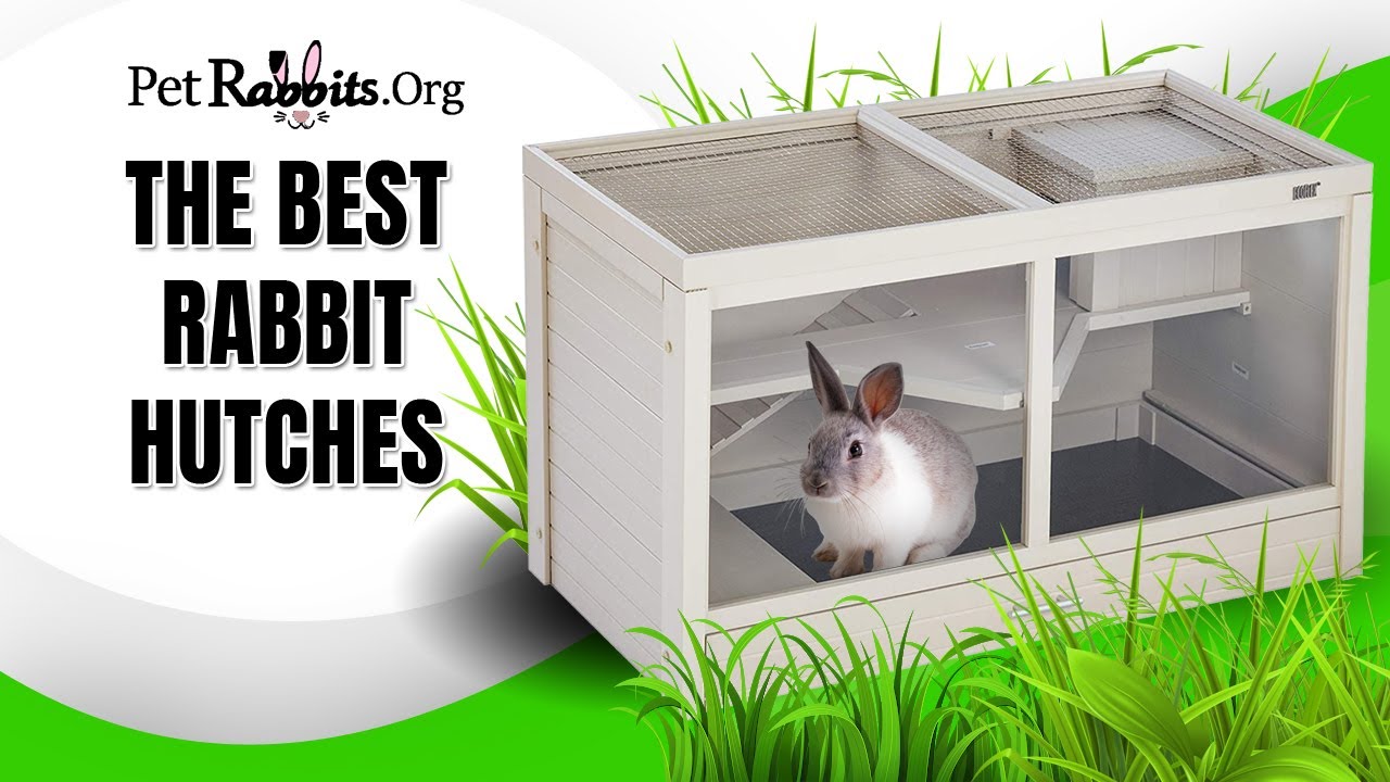 The Best Rabbit Hutches - Indoor and Outdoor Rabbit Hutches