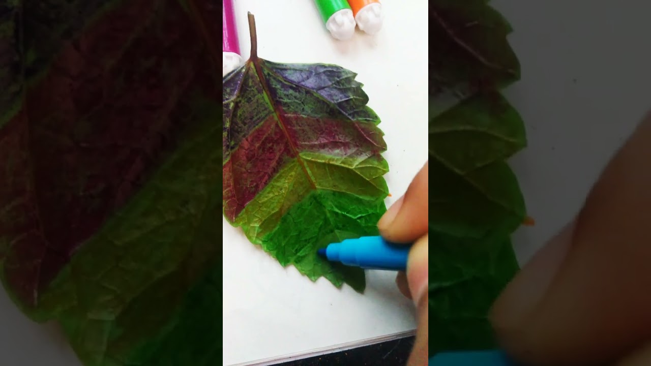 Testing viral leaf hack fail/pass 