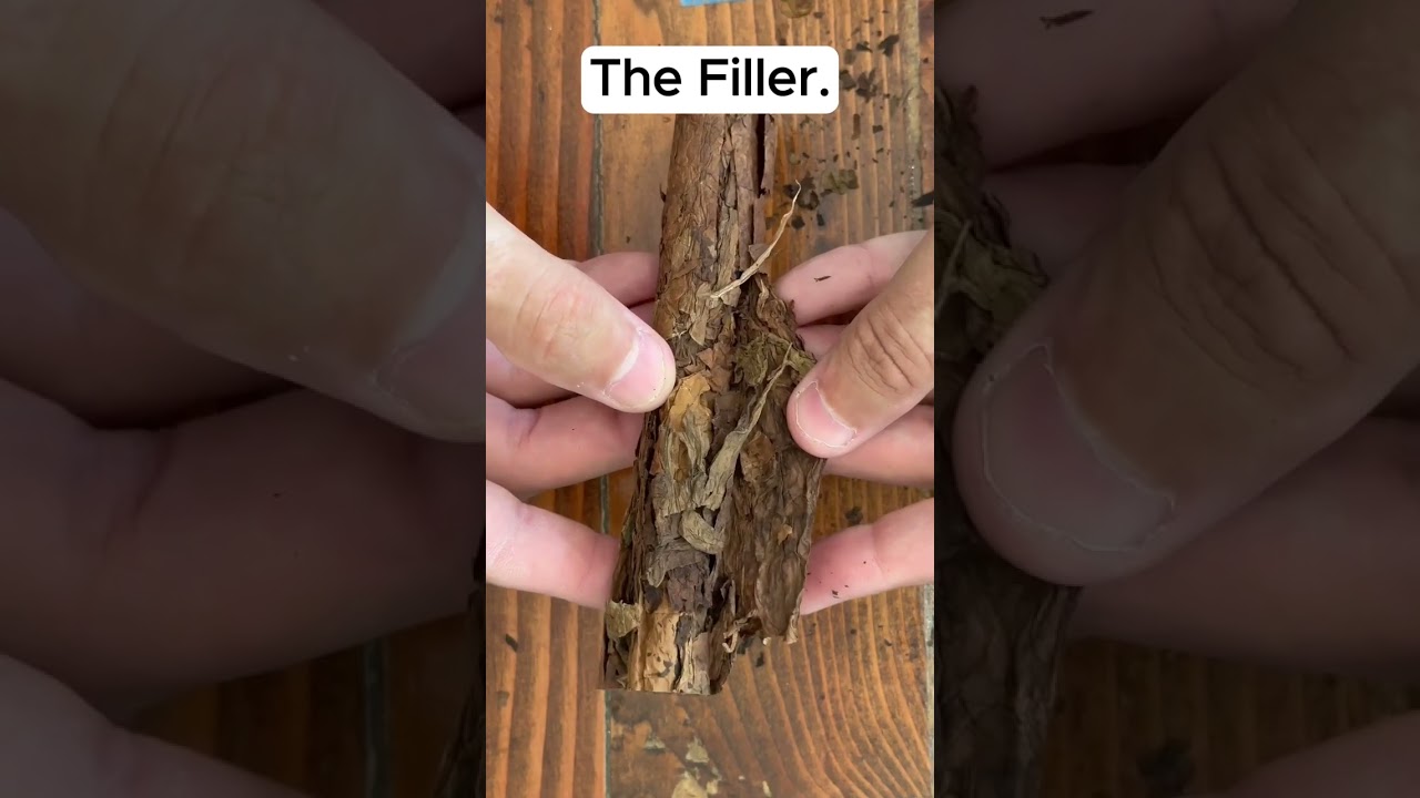 WE OPENED A CIGAR WRAPPER, AND FOUND THIS!