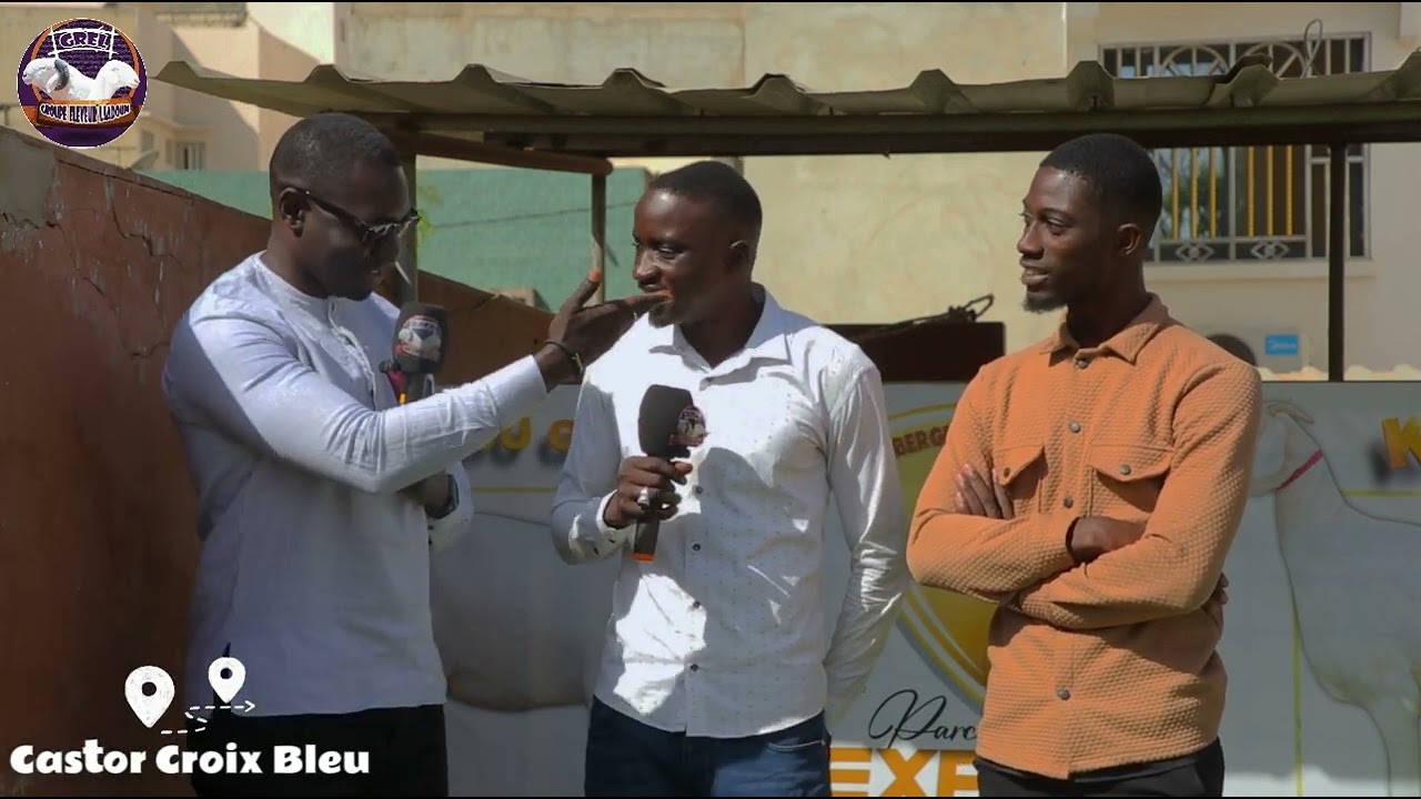 Trois recrutements en un jour Bergerie B2F
