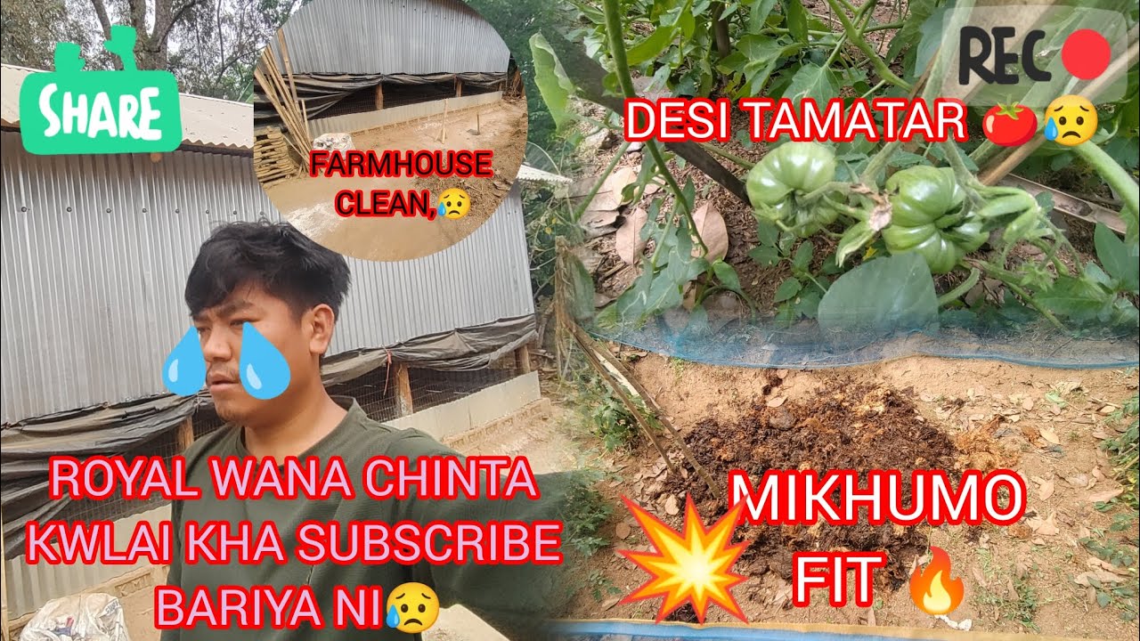 Mushroom Seat Kholok Kha (09/03/2026)Ty Framing Nogo Kisa clean Khai Mani 😥🔥