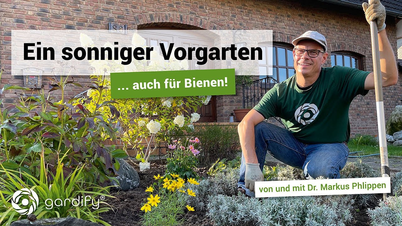 Ein sonniger Vorgarten... inklusive attraktiven Pflanzen für Bienen | gardify Tipps