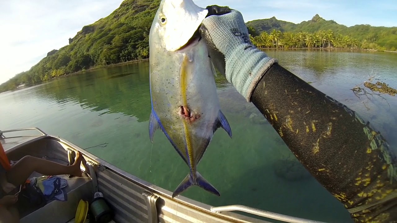 Spearfishing in Huahine part 1 - French Polynesia