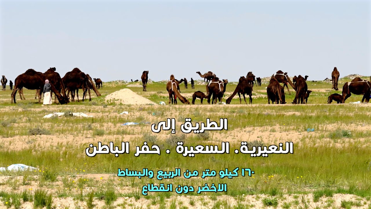 النعيرية السعيرة حفر الباطن Al Nayiriyah Al Saira Hafr Al Batin