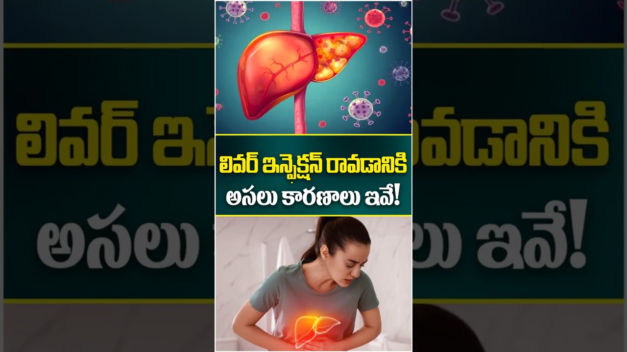What Causes Liver Infection in Telugu || My Health Hospitals #shorts #ytshorts #liverinfection