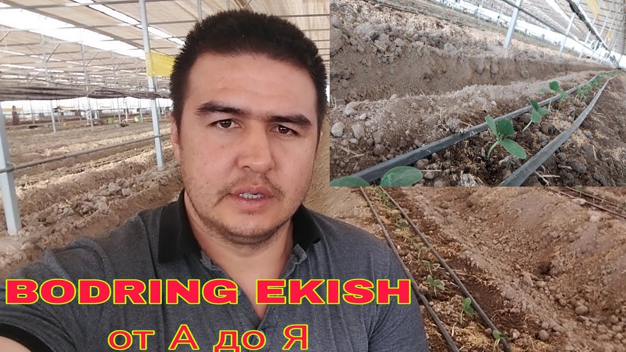 BODRING EKISH TUGRI USULI БОДРИНГ ЭКИШ ТУГРИ УСУЛИ