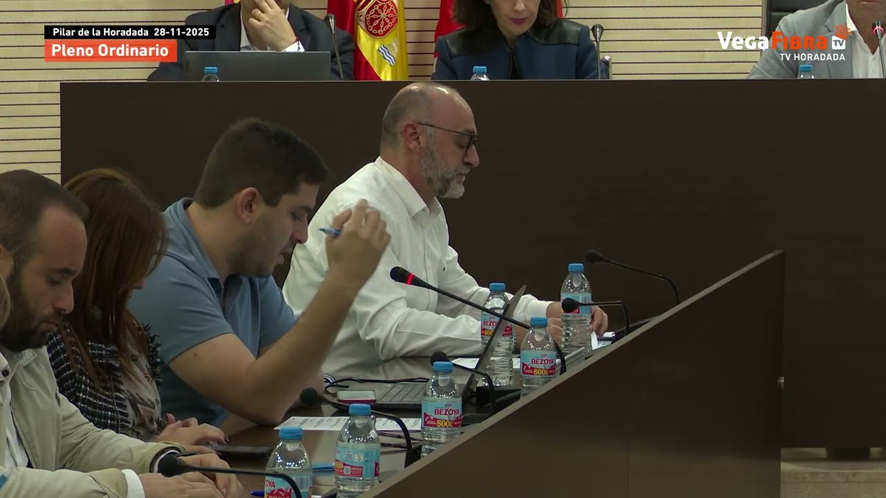 Pleno 28 de noviembre de 2025