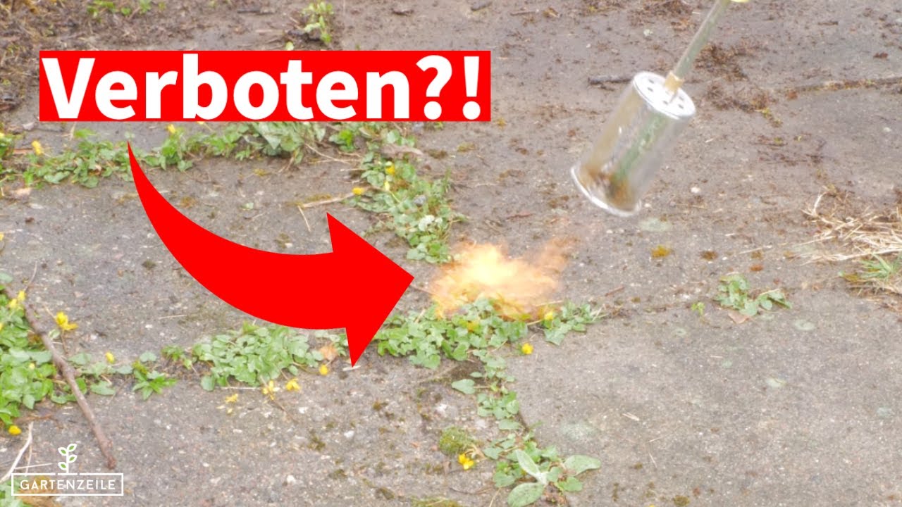 Ist Unkraut abflammen verboten?