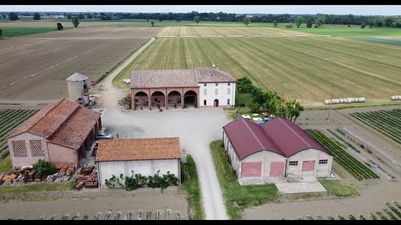 COME TRATTENERE LA 4° GENERAZIONE DI GIOVANI NELLA STESSA AZIENDA AGRICOLA?