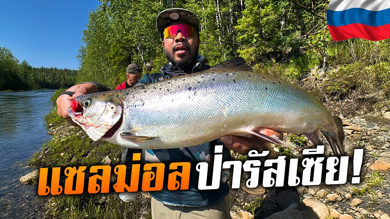 นาทีชีวิต! ล่าแซลมอนในป่าลึกรัสเซียแต่อาหารดันหมดเกลี้ยง