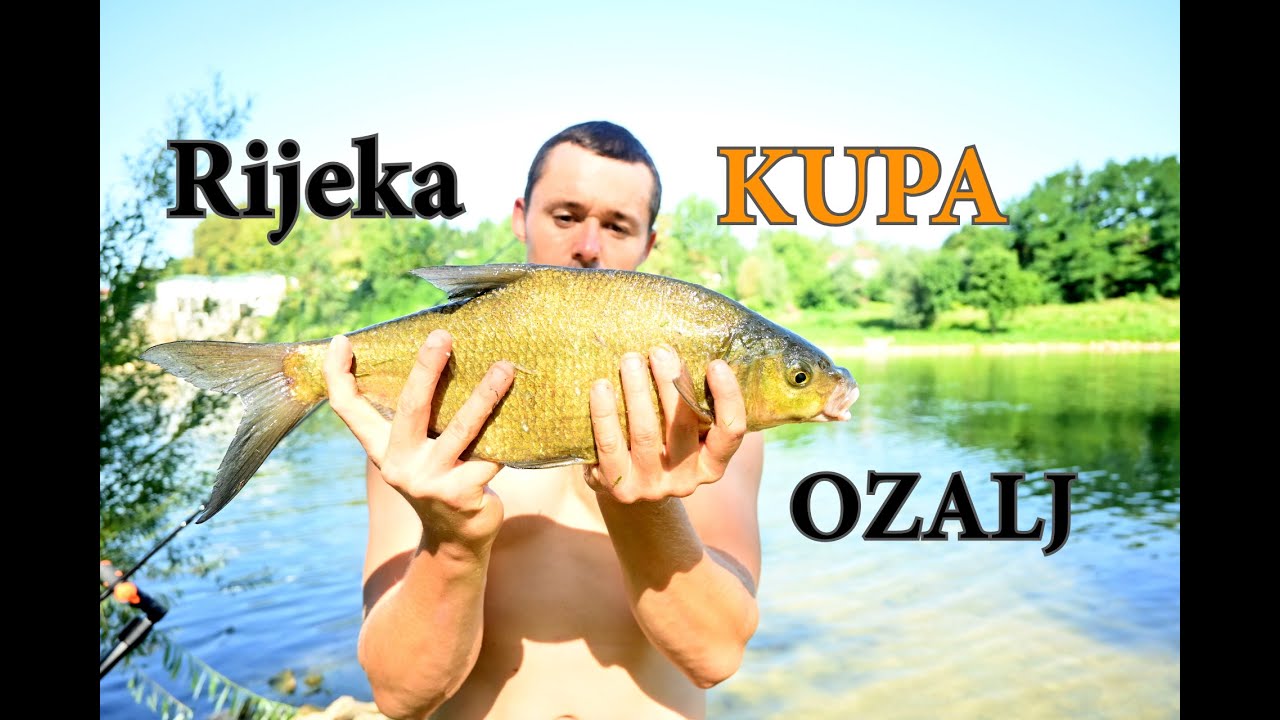 Obiteljsko pecanje na Kupi feeder tehnikom 🎣🐟*DEVERIKA, ŠNAJDER, PODUST* Ozalj Kupalište