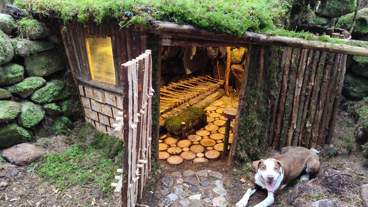 Hidden Shelter in a Secret Forest in Ireland