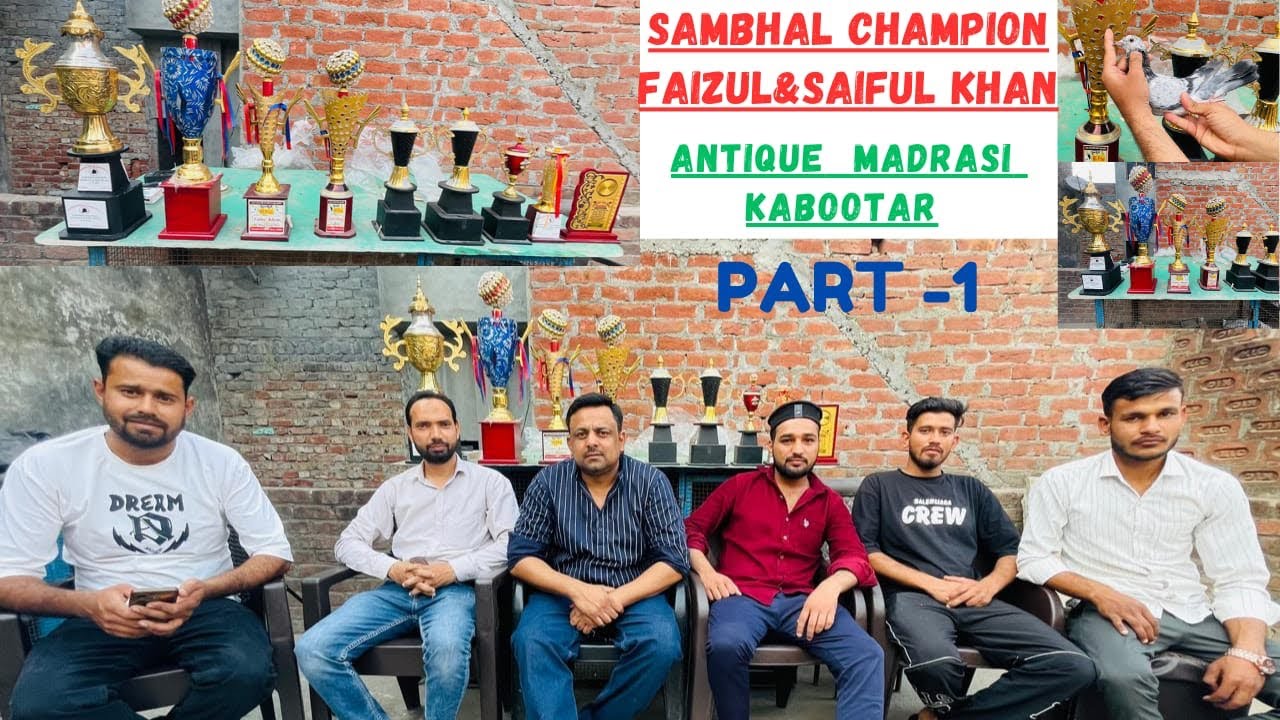 Sambhal के सबसे लाजवाब खिलाड़ी Zainul & Saiful Khan के Madrasi Kabootar का शौक़ |.#pigeon #kabootar