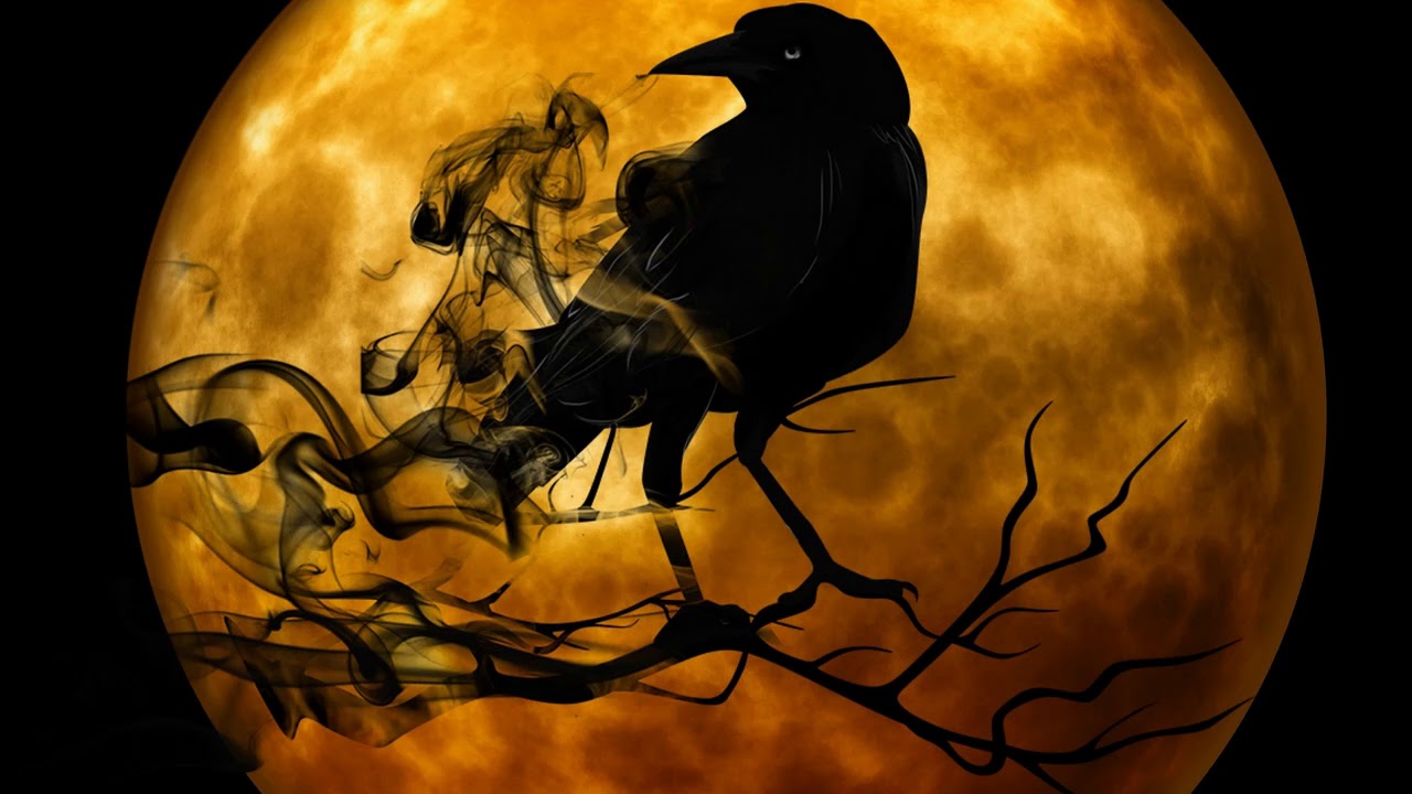 CROW HORROR SOUND EFFECT ROYAL FREE