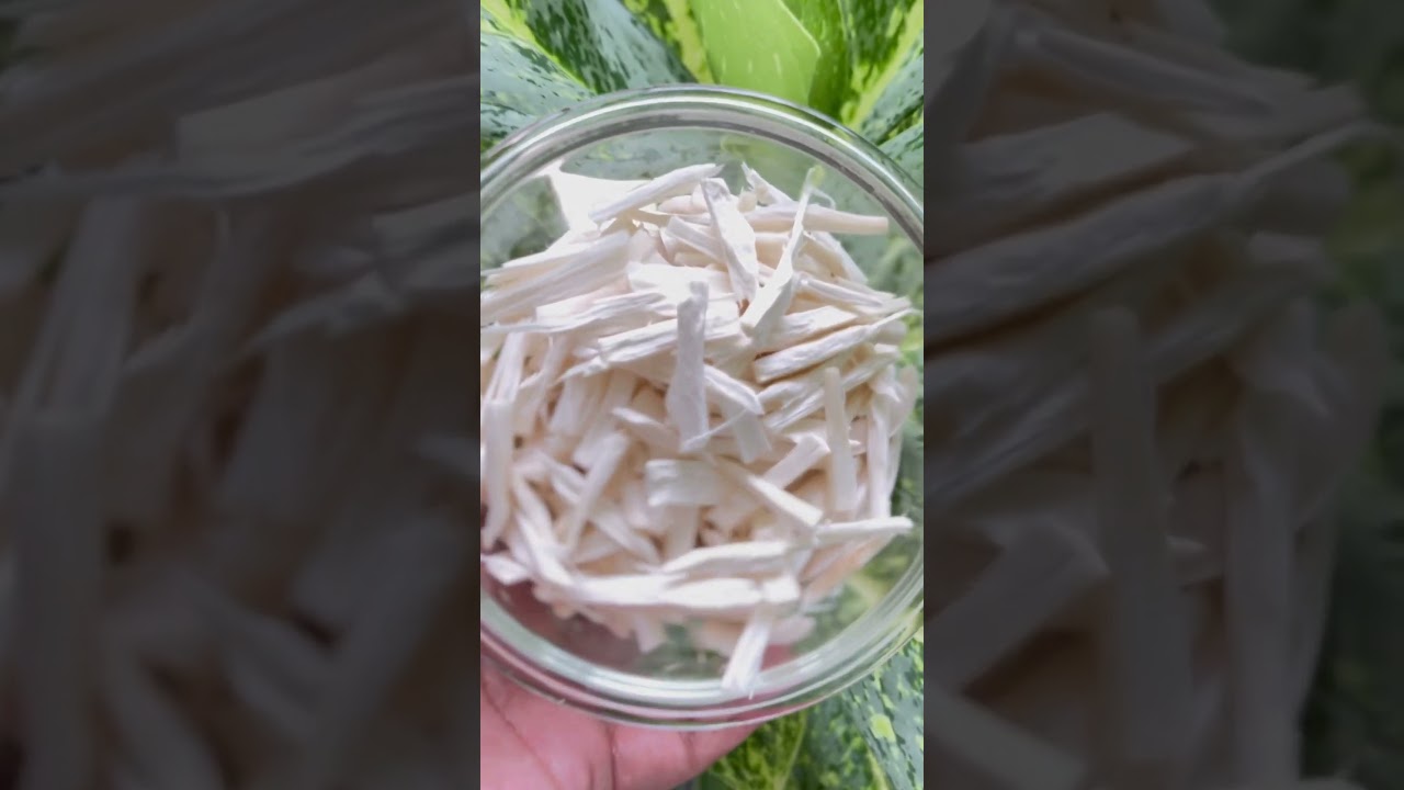 പെട്ടന്നു ഒരു കൂൺ തോരൻ #koon #cooking #nadan
