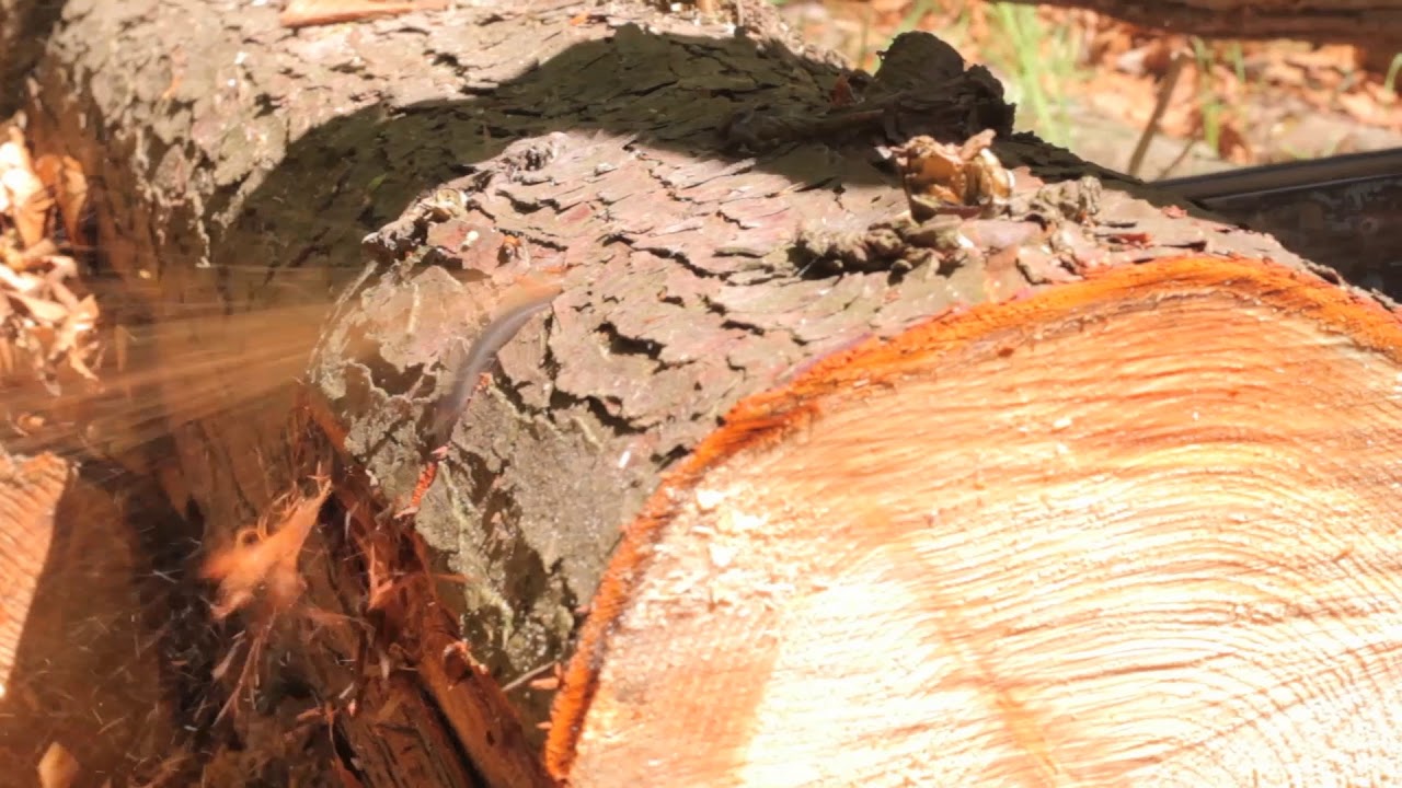 ECC1 - Tronzado de madera