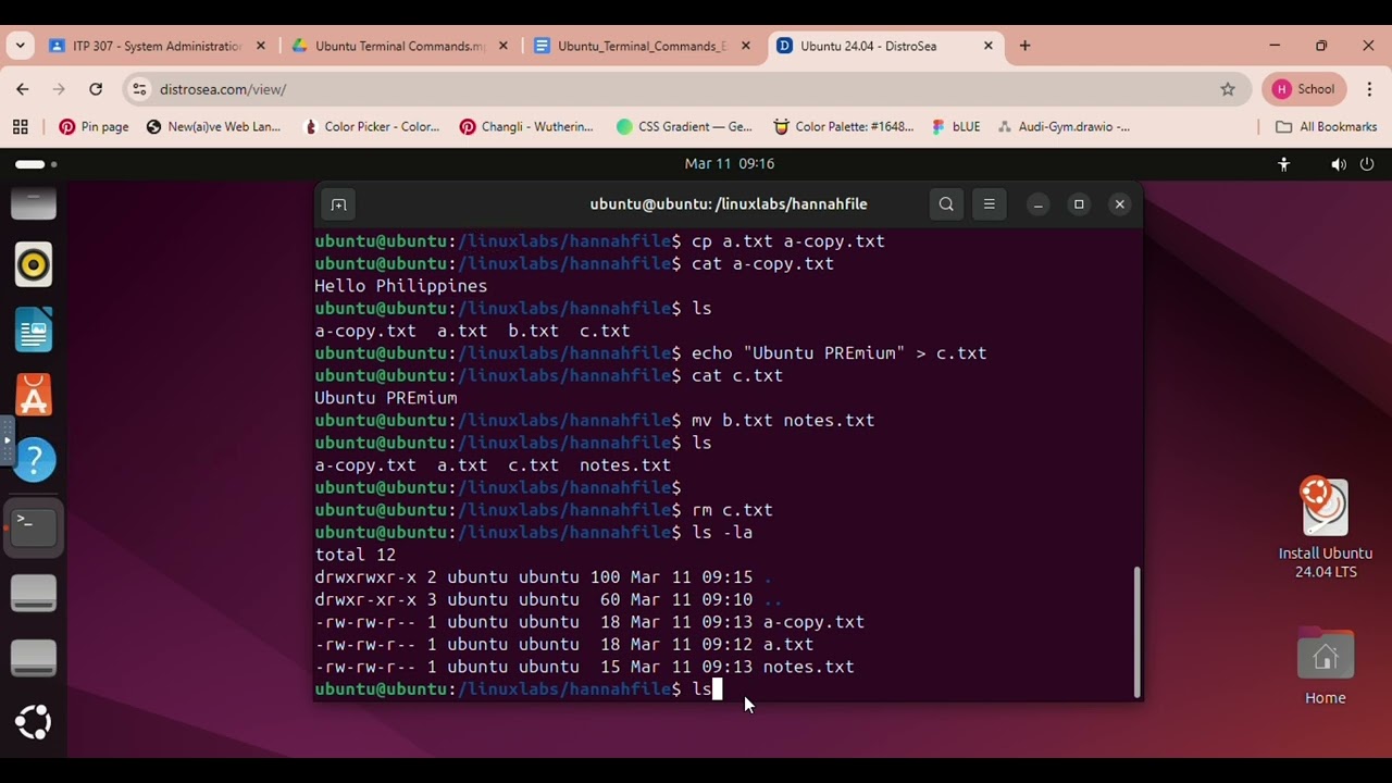 Ubuntu Terminal Commands (Basics)