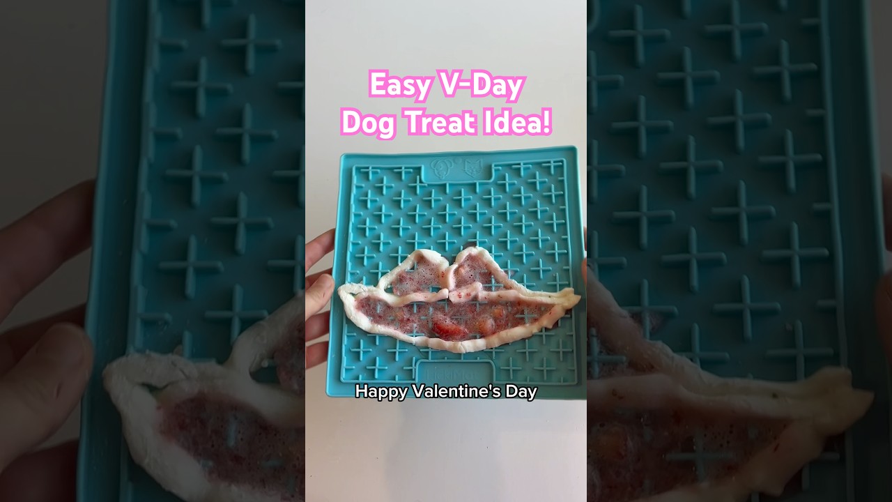 Valentine’s Day dog lick mat treat 