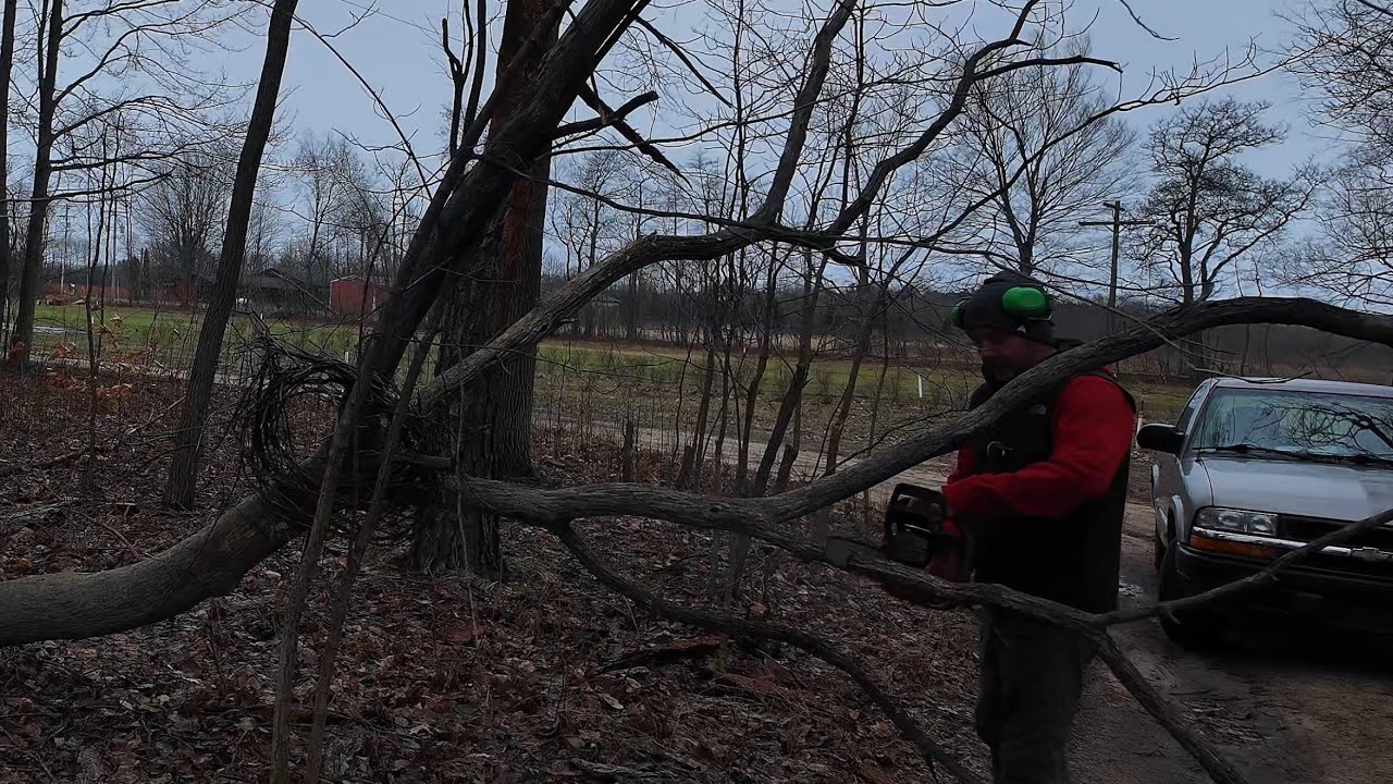 FARM BLOCKED! Clearing a Downed Tree + Mowing Blueberries