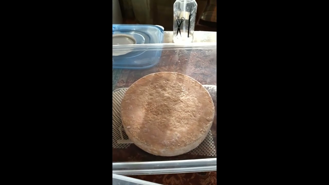 Petites tournées fromagères