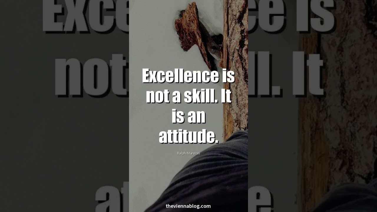 Excellence motivation #excellence #promotivation #viral #refreshingquotes #new