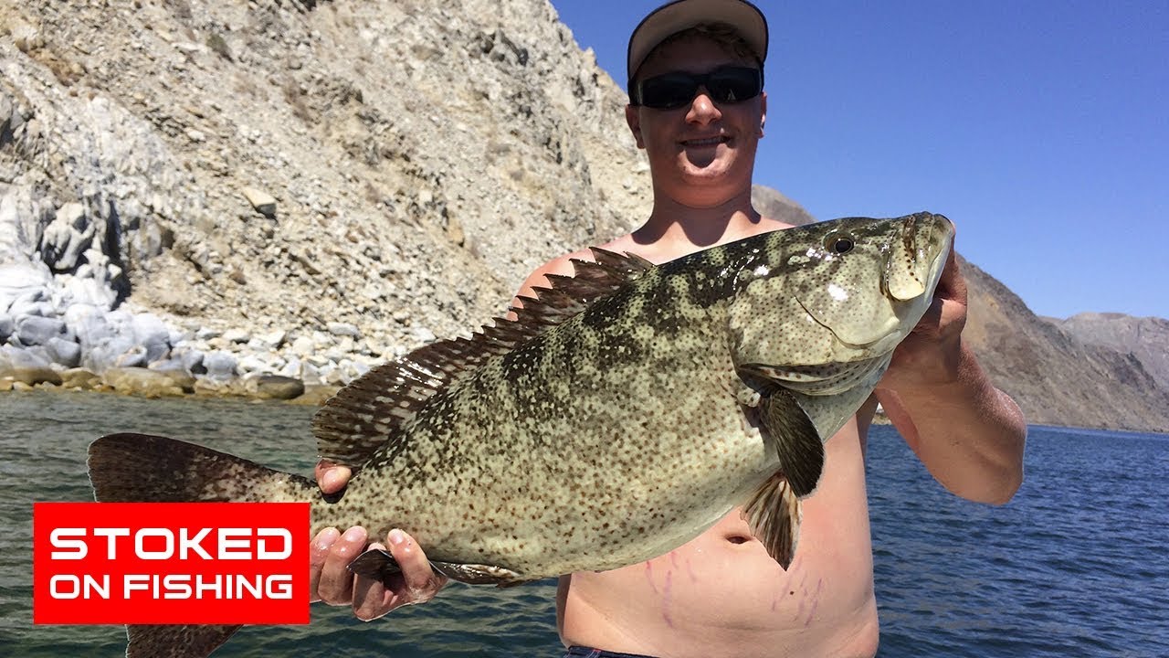 Fishing Cabrilla and Barred Snapper at Gonzaga Bay, Mexico | Part 1