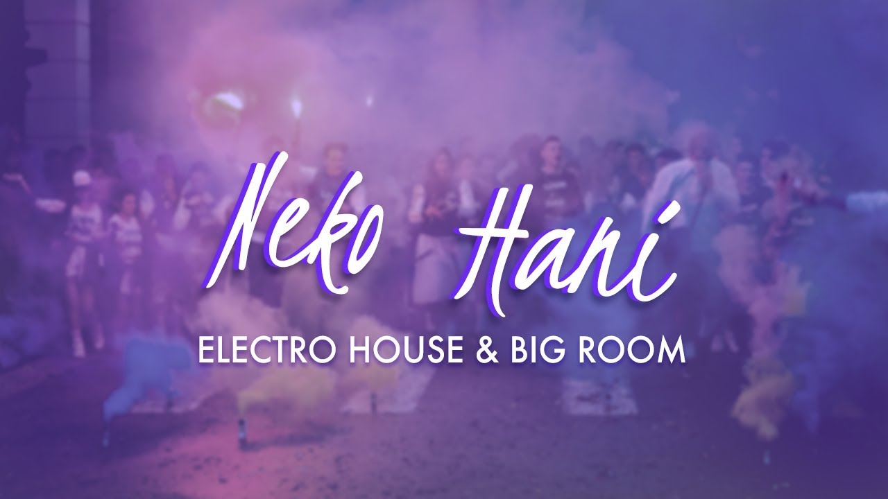 Big Room & Electro House Mix | (FIRST MIX!) 2015