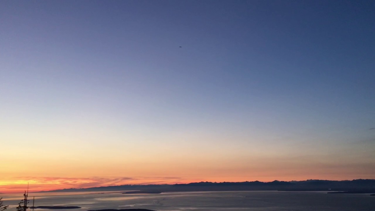 Common nighthawk mating call diving boom noises