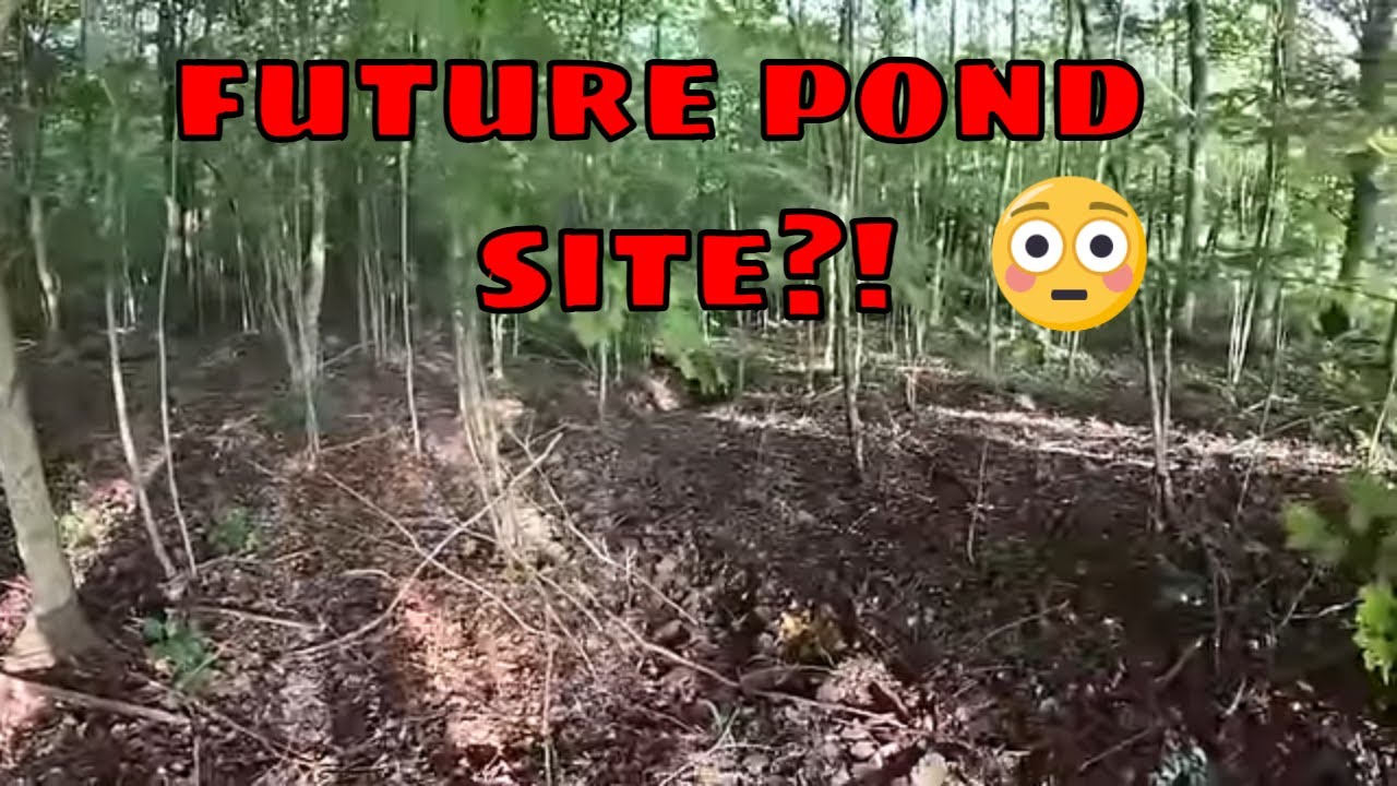 You Want Us To Build A Pond Where This Might Be Difficult Pond In The Woods Project!!