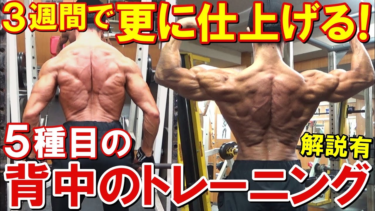 【筋トレ】背中全体を鍛えて立体的に仕上げる！ジュラシックカップ3週間前に5種目で広背筋や僧帽筋を鍛えるトレーニング【解説】
