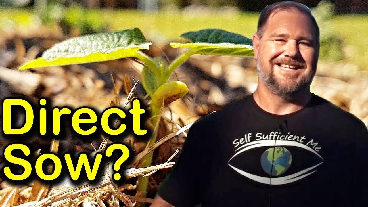 Pros & Cons of Direct Sowing Seed Straight into the Garden Bed